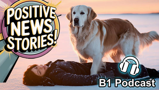 B1. Frozen in the Snow… Until a Dog Found Him: 2 Positive News Stories